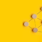 Liberty Converse Features