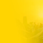 Environmental Impact and Sustainability Report 2025