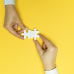 Local Government Case Management
